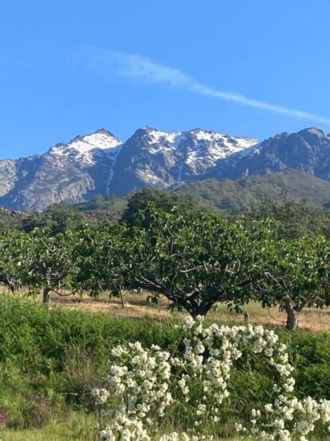Mirada A Gredos Villa Candeleda Kültér fotó