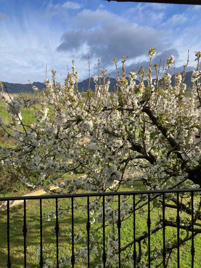 Mirada A Gredos Villa Candeleda Kültér fotó