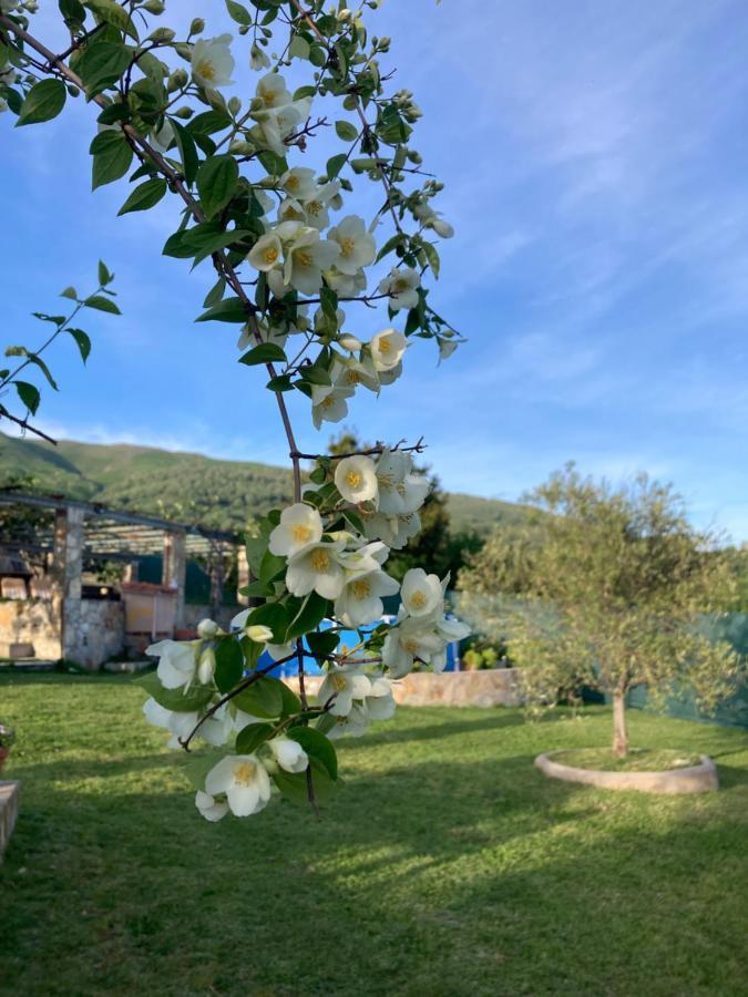 Mirada A Gredos Villa Candeleda Kültér fotó